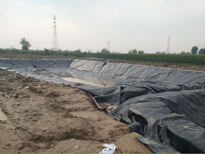 1-210ZFR30T45.jpg 1-210ZFR30T45.jpg